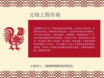 广东肇庆可行性可研报告-代写标书图片5