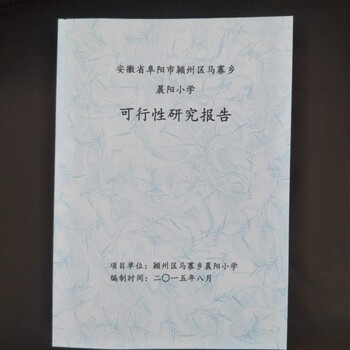 浙江宁波可行性报告代写能做可研本地公司