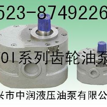HY01-3×5,HY01-5×10,HY01-8×15齿轮油泵
