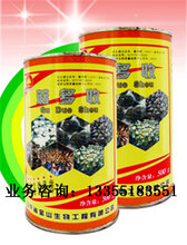 菇多收:出菇齐,出菇快,菇体壮图片