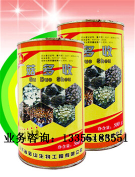 菇多收：出菇齊，出菇快，菇體壯