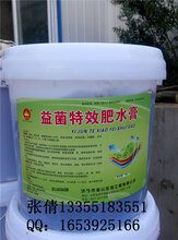 济宁金山生物益菌特效肥水膏图片