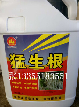 濟寧金山生物生根養(yǎng)根提苗壯根：猛生根