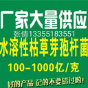 濟寧微生物菌種廠家直供全溶枯草芽孢桿菌