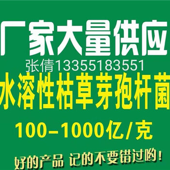 濟寧微生物菌種廠家直供全溶枯草芽孢桿菌