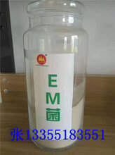 EM复合菌的作用,EM菌种的用量用法图片