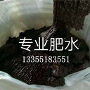 濟(jì)寧水產(chǎn)廠家直供氨基酸肥水膏，肥水，品質(zhì)過(guò)硬
