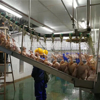 扬州家禽屠宰流水线鸡屠宰流水线工艺流程家禽屠宰设备