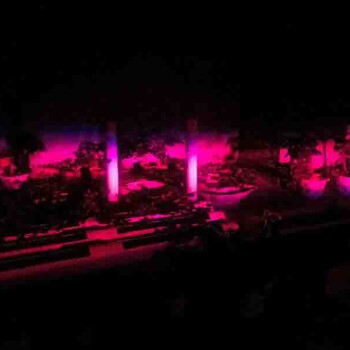 紅皎陽激光植物生長燈植物工廠、暗室植物生長燈包郵