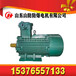 YB3系列电机YB3-200L1-2(30KW)防爆电机-山东山防电机