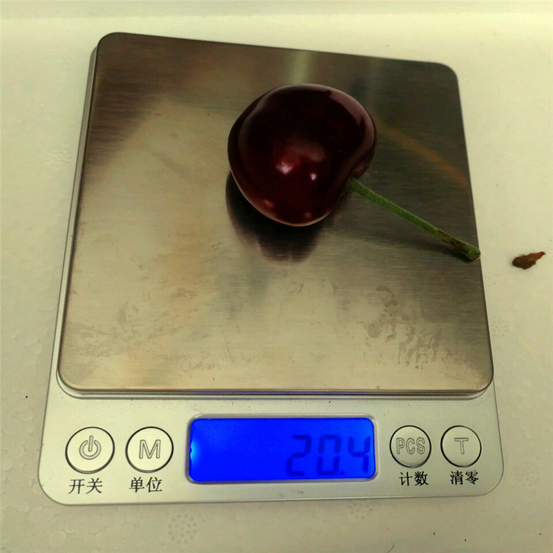 山東四季草莓草莓苗批發(fā)