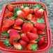 蜜宝草莓苗批发基地、蜜宝草莓苗多少钱