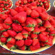 2018年希利亚草莓苗批发价希利亚草莓苗批发出售图片