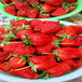 新品种奥巴草莓苗一棵多少钱、奥巴草莓苗批发价格