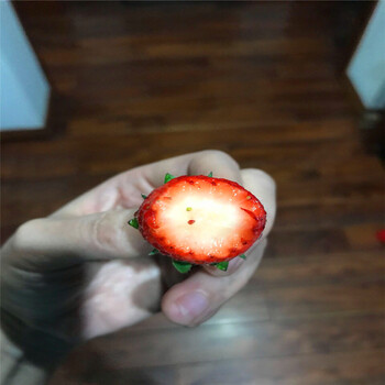 新品种宝交草莓苗出售价钱、宝交草莓苗多少钱一棵