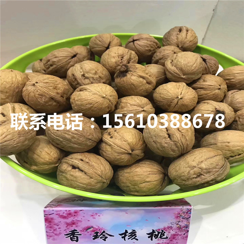 1575251399015651300-0.jpg