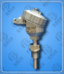WZP-240热电阻规格型号图片2
