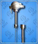 WZP-240热电阻规格型号图片5