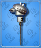 WZP-240热电阻规格型号图片4
