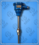 WZP-240热电阻规格型号图片1