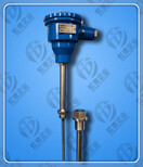 WZP-240热电阻规格型号图片0
