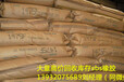 上海周边高价回收库存SBS橡胶139-320-75689