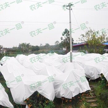 廠家農(nóng)夫一品生態(tài)棚膜防寒布保溫透氣防水