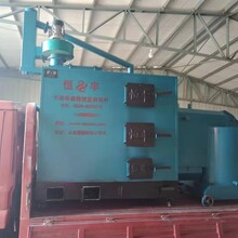 恒丰燃煤养殖锅炉