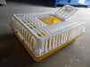 广西塑料鸡笼南宁鸭笼子厂家批发9斤重白加黄鸡笼子