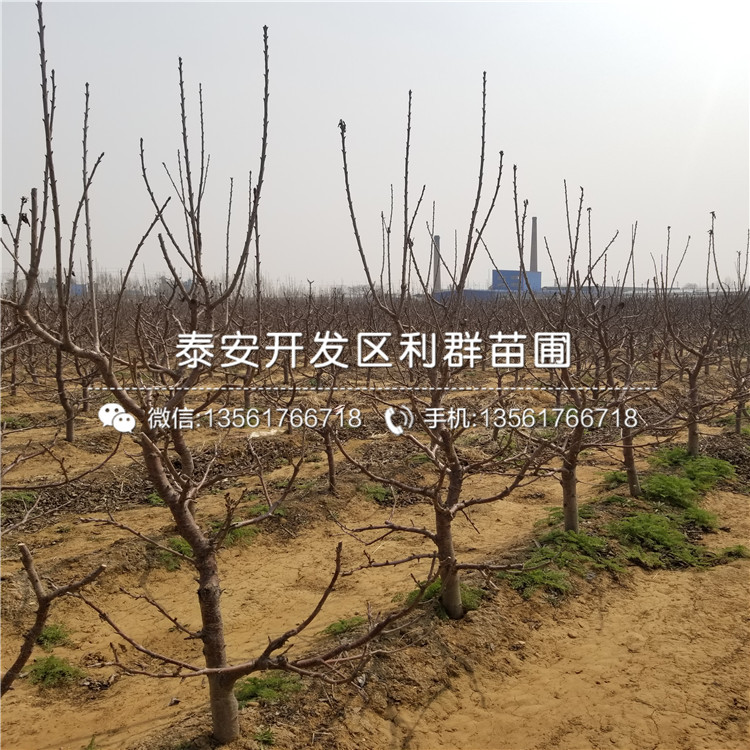 2018年4公分車?yán)遄訕涿绯鍪蹆r(jià)格是多少