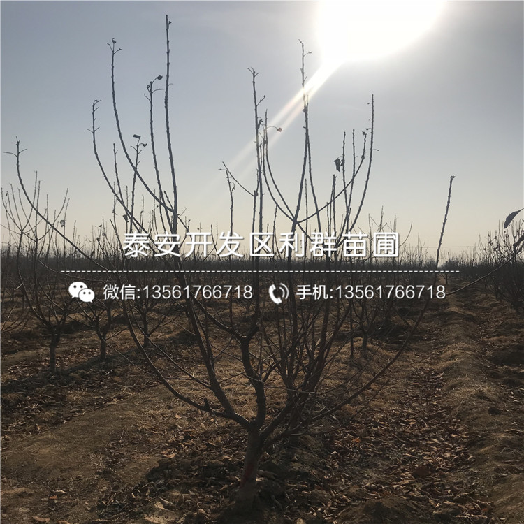 5公分車(chē)?yán)遄用纭?公分車(chē)?yán)遄用绯鍪蹆r(jià)格