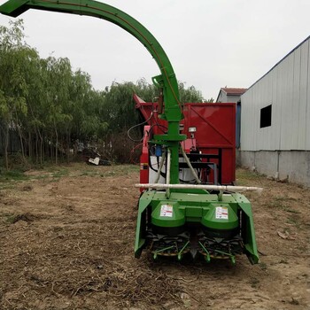 小型履帶式青儲收割機玉米秸稈粉碎機鴻磊機械