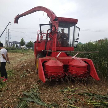 大型履帶圓盤式玉米秸稈青儲(chǔ)機(jī)自走式苜蓿草收割機(jī)哪里有生產(chǎn)廠家