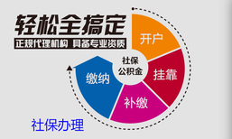 养老保险补缴十五年、不显示补缴、立马到账图片0