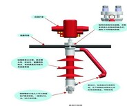 FEG-12/5T避雷器图片0