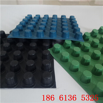 哈尔滨塑料排水板厂家生产16高塑料凸片排水板