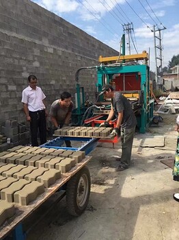 建丰砖机供应辽宁水泥制砖机鞍山地砖砖机设备