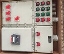 双电源应急照明控制箱-双电源防爆控制箱