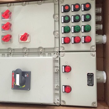 双电源应急照明控制箱-双电源防爆控制箱