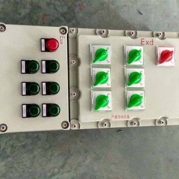 石渠BXM53-12K防爆配电箱非标