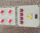 德钦施耐德粉尘车间防爆配电箱定做