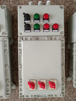 BXK58防爆箱非标定做宝鸡