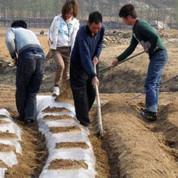 緩解連作障礙微生物菌肥改土生根寶