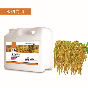 水稻增產(chǎn)-高分子復(fù)合肽有機蛋白肥