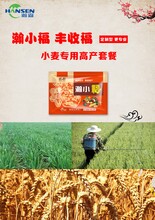 小麥年后防病防蟲套餐瀚小福圖片