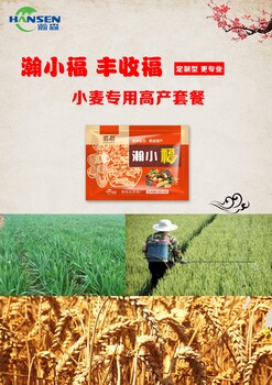 小麥年后防病防蟲(chóng)套餐瀚小福