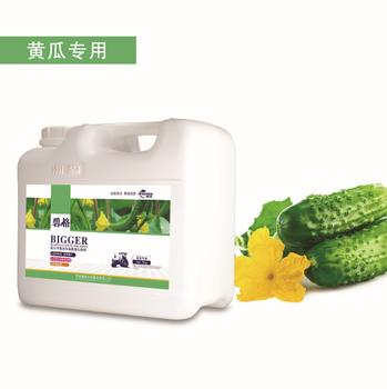 黃瓜增產(chǎn)——高分子復(fù)合肽有機(jī)蛋白肥