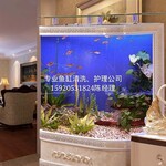 广州鱼缸玻璃清洗：广州鱼缸清洗、鱼池清洗、过滤改造水草景观