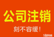 财税服务代理记账外资小规模记账等烂账清理，订凭证报表图片0