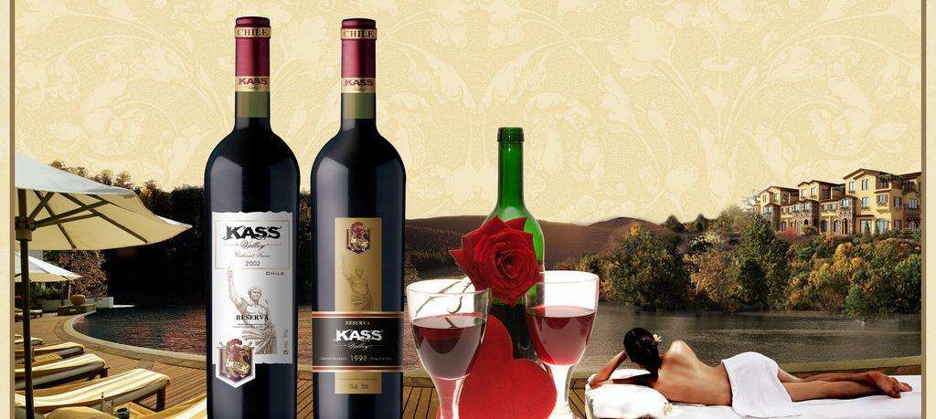葡萄牙红酒进口清关公司,成都进口红酒代理付汇公司